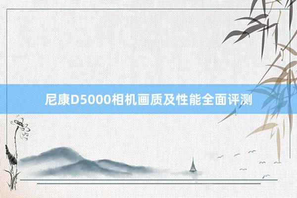 尼康D5000相机画质及性能全面评测