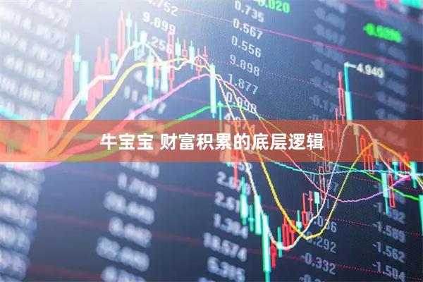 牛宝宝 财富积累的底层逻辑