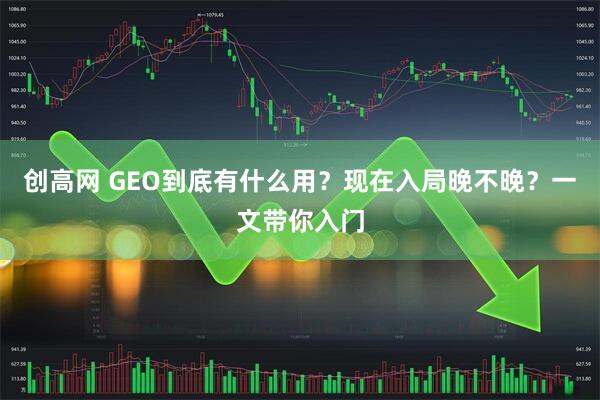 创高网 GEO到底有什么用？现在入局晚不晚？一文带你入门