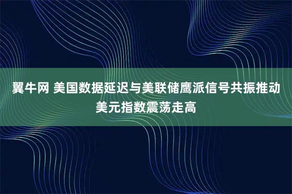 翼牛网 美国数据延迟与美联储鹰派信号共振推动美元指数震荡走高