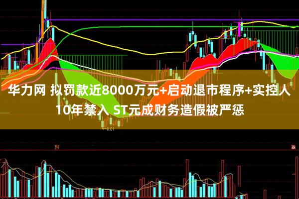 华力网 拟罚款近8000万元+启动退市程序+实控人10年禁入 ST元成财务造假被严惩